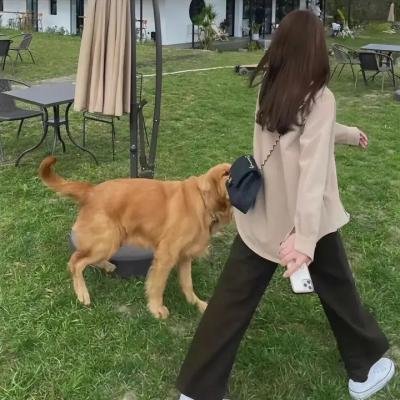 孤岛秘密战